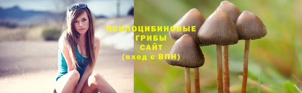 mdpv Нефтегорск