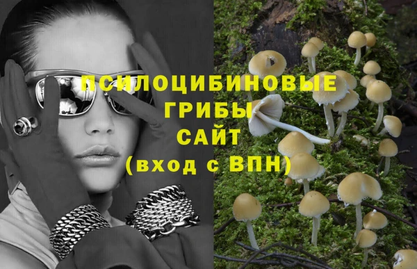 ALPHA-PVP Нефтекумск