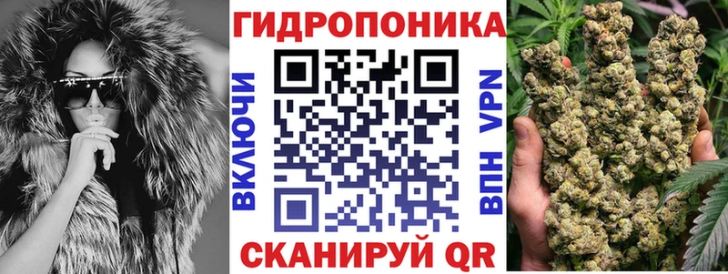 дарнет шоп Салехард гидра как войти Канабис марихуана